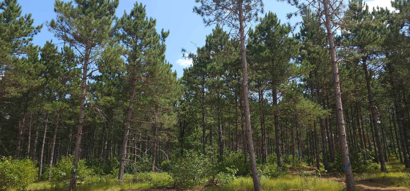Life slows down here. (11 Hidden Trail, Rome, WI 54457)