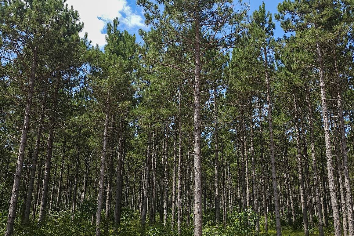 Your weekend escape starts here. (2 Hidden Trail, Rome, WI 54457)