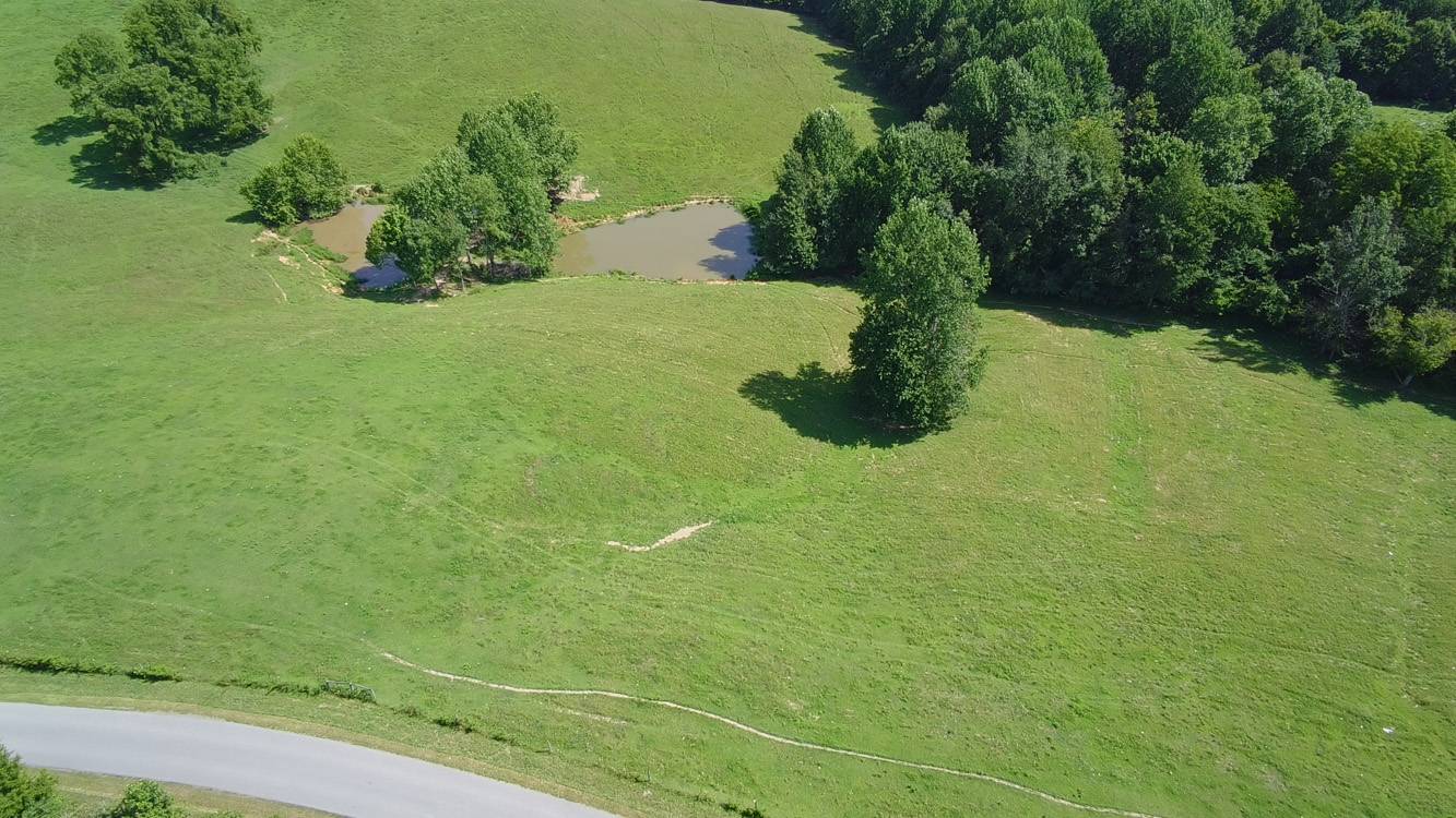 556 Maple Road