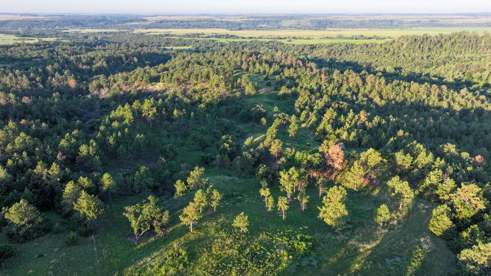 Photo 31 of 60 of land listing at Meadville Road, Springview, NE 68778