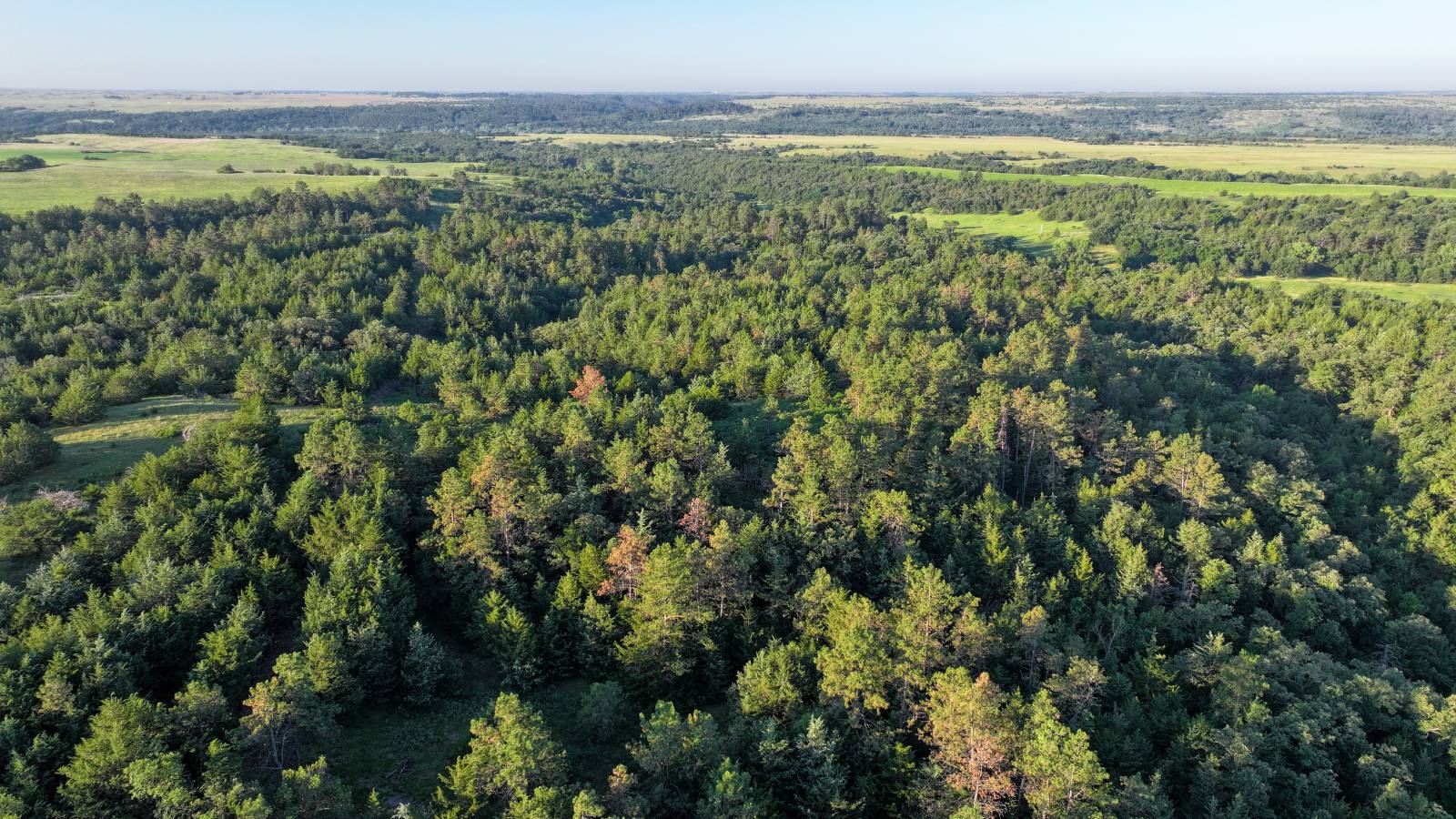 Photo 45 of 60 of land listing at Meadville Road, Springview, NE 68778