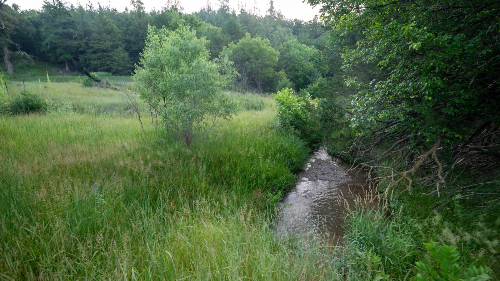 Photo 57 of 60 of land listing at Meadville Road, Springview, NE 68778
