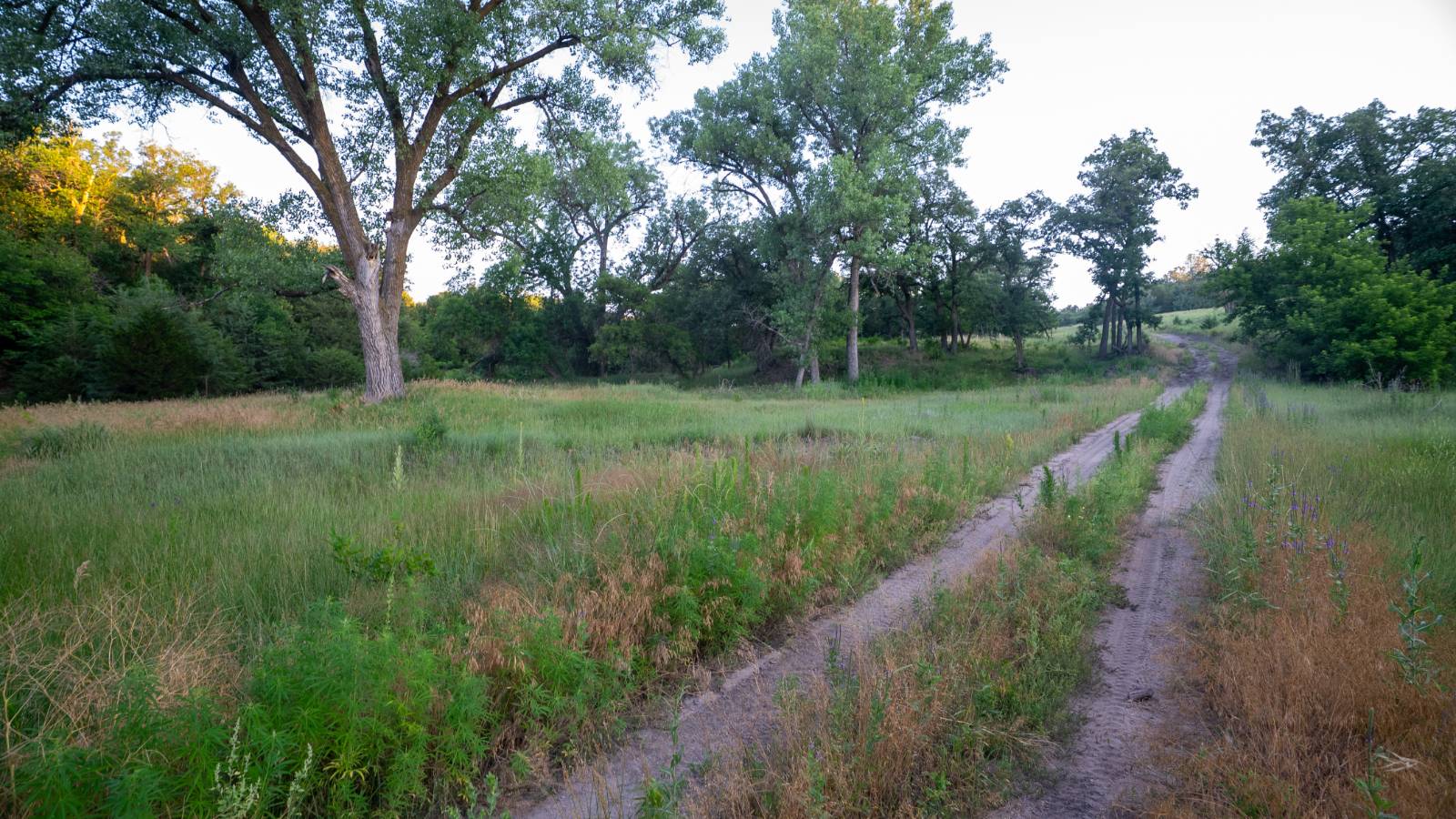 Photo 58 of 60 of land listing at Meadville Road, Springview, NE 68778