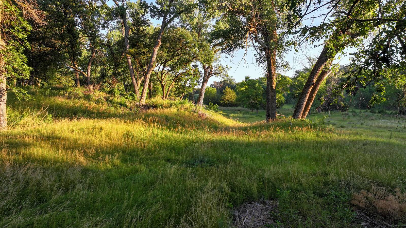 Photo 38 of 60 of land listing at Meadville Road, Springview, NE 68778
