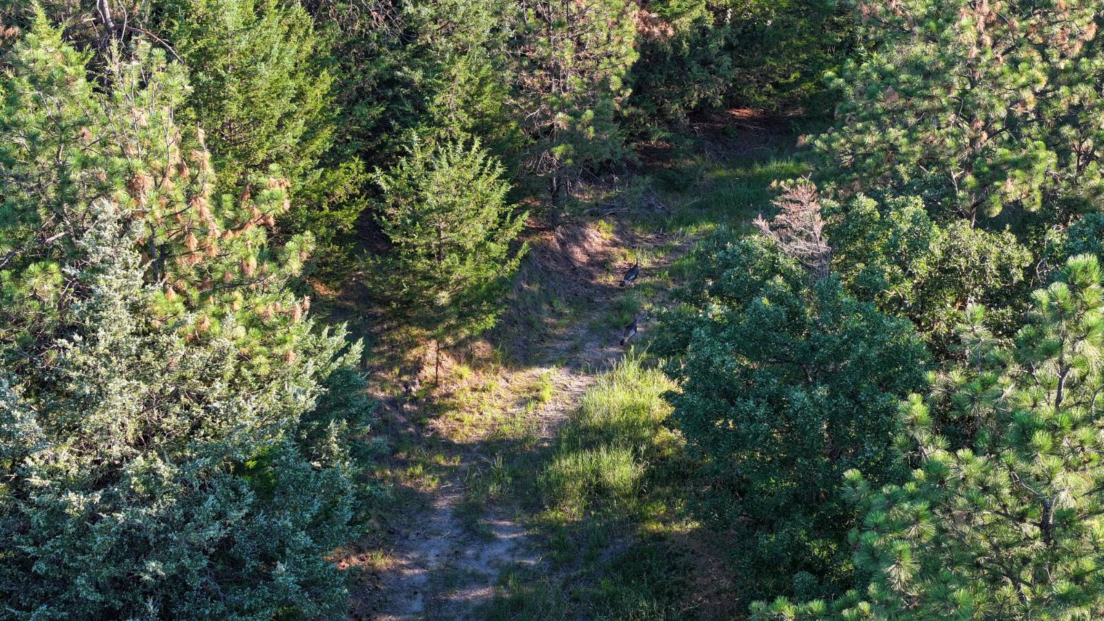 Photo 54 of 60 of land listing at Meadville Road, Springview, NE 68778
