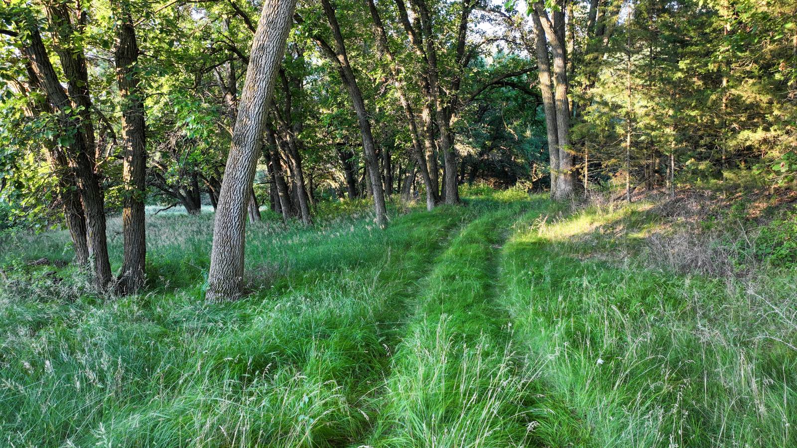 Photo 22 of 60 of land listing at Meadville Road, Springview, NE 68778