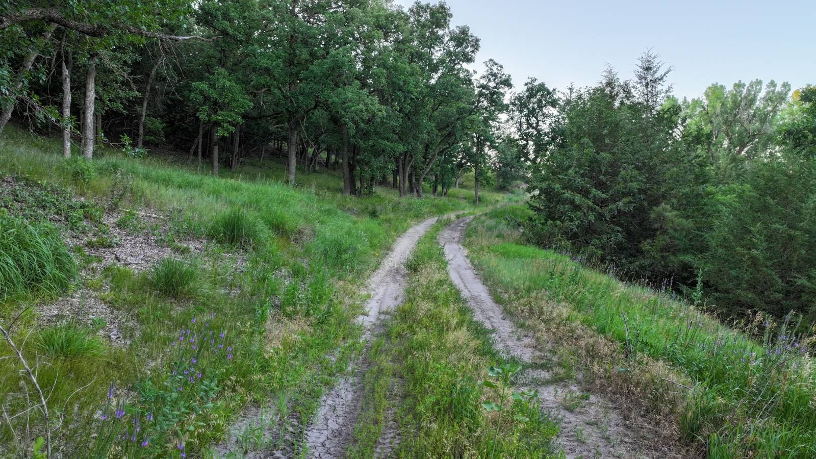 Photo 15 of 60 of land listing at Meadville Road, Springview, NE 68778