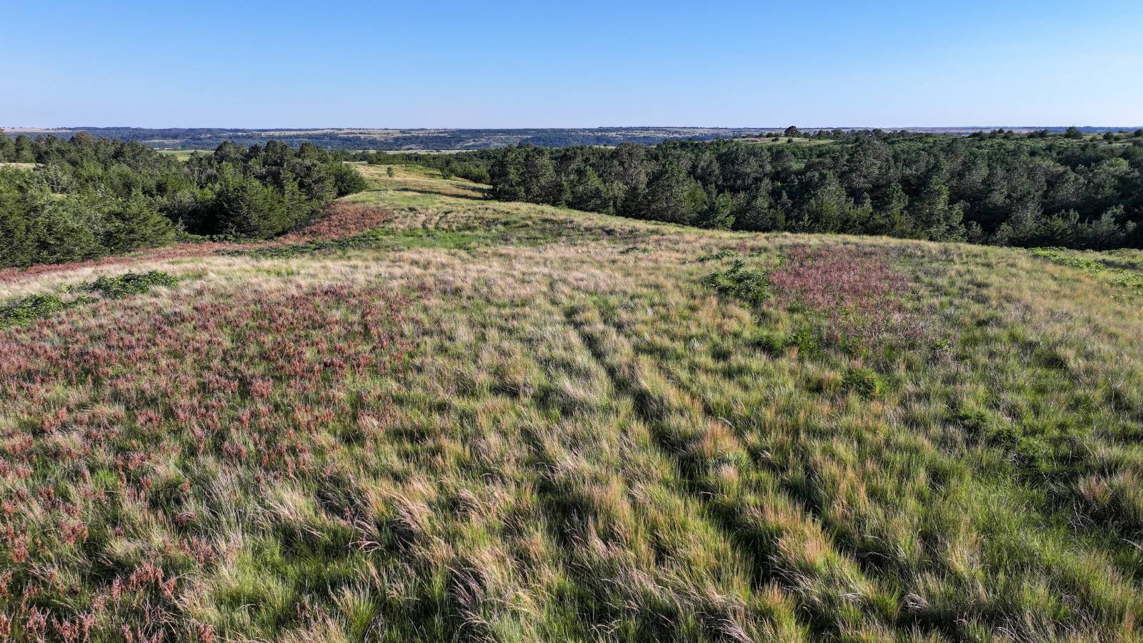 Photo 9 of 60 of land listing at Meadville Road, Springview, NE 68778