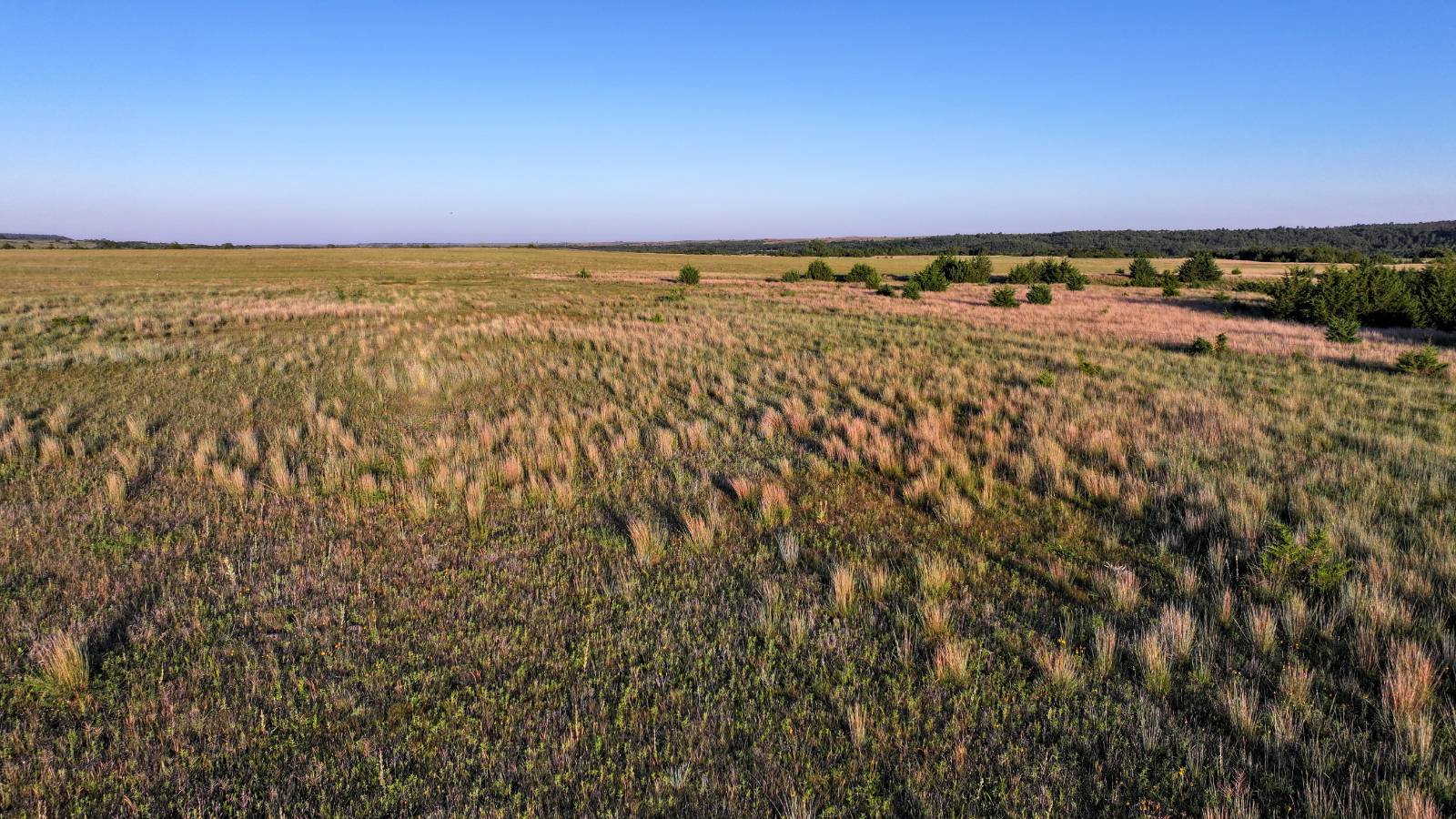 Photo 47 of 60 of land listing at Meadville Road, Springview, NE 68778