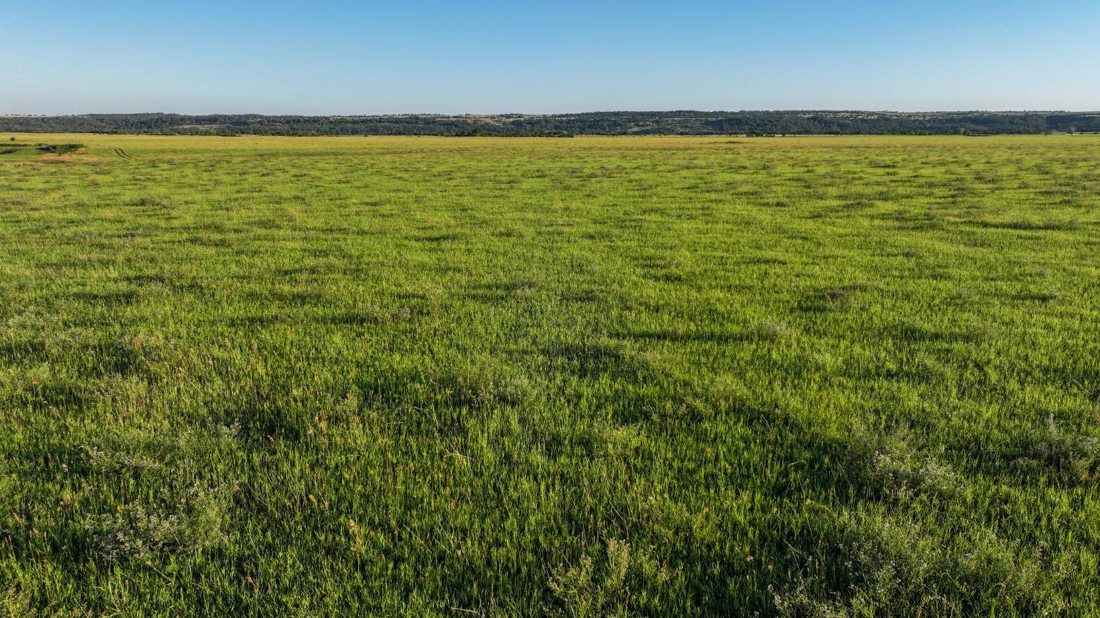 Photo 34 of 60 of land listing at Meadville Road, Springview, NE 68778