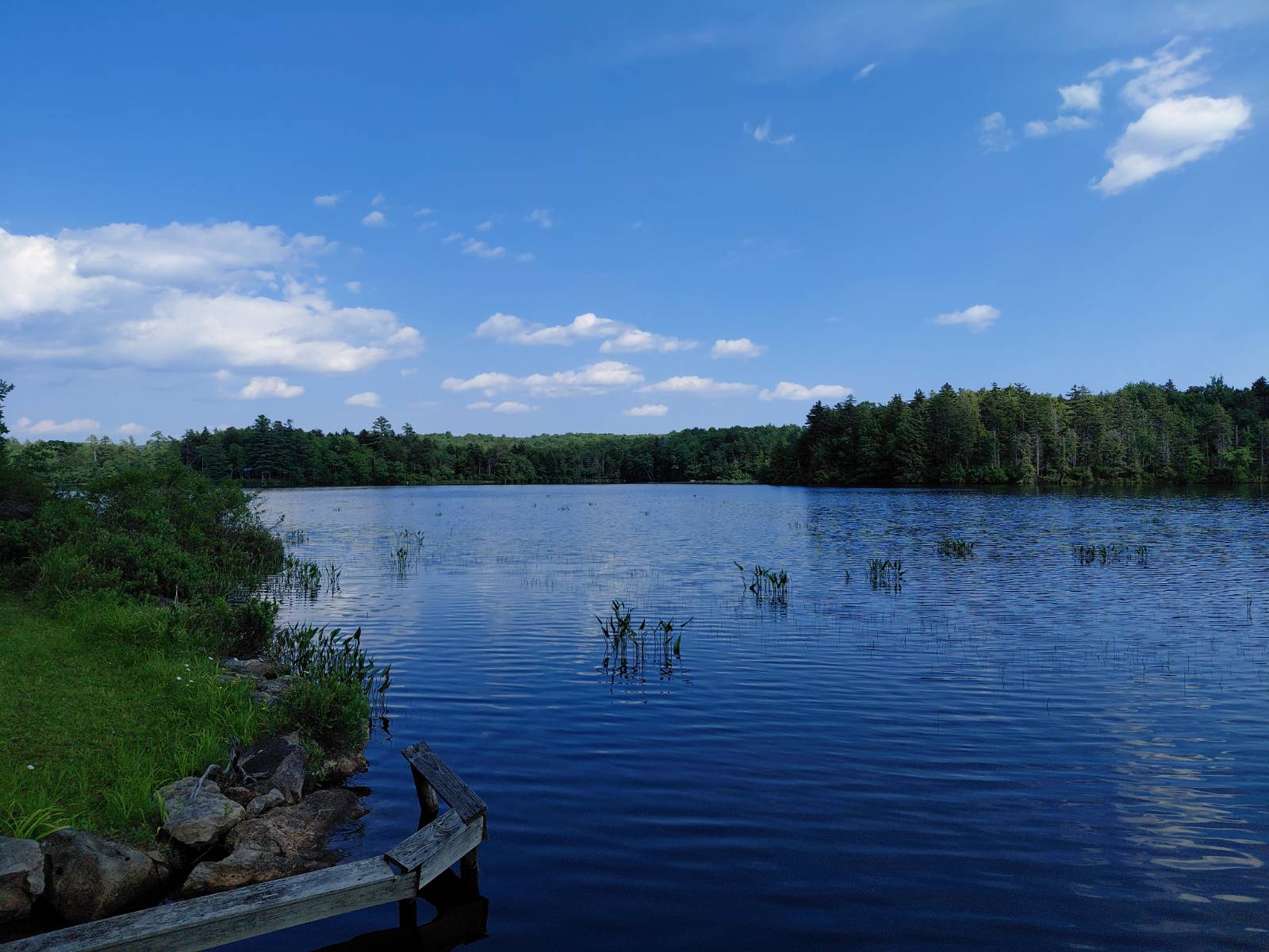 964 Stewart Landing Road