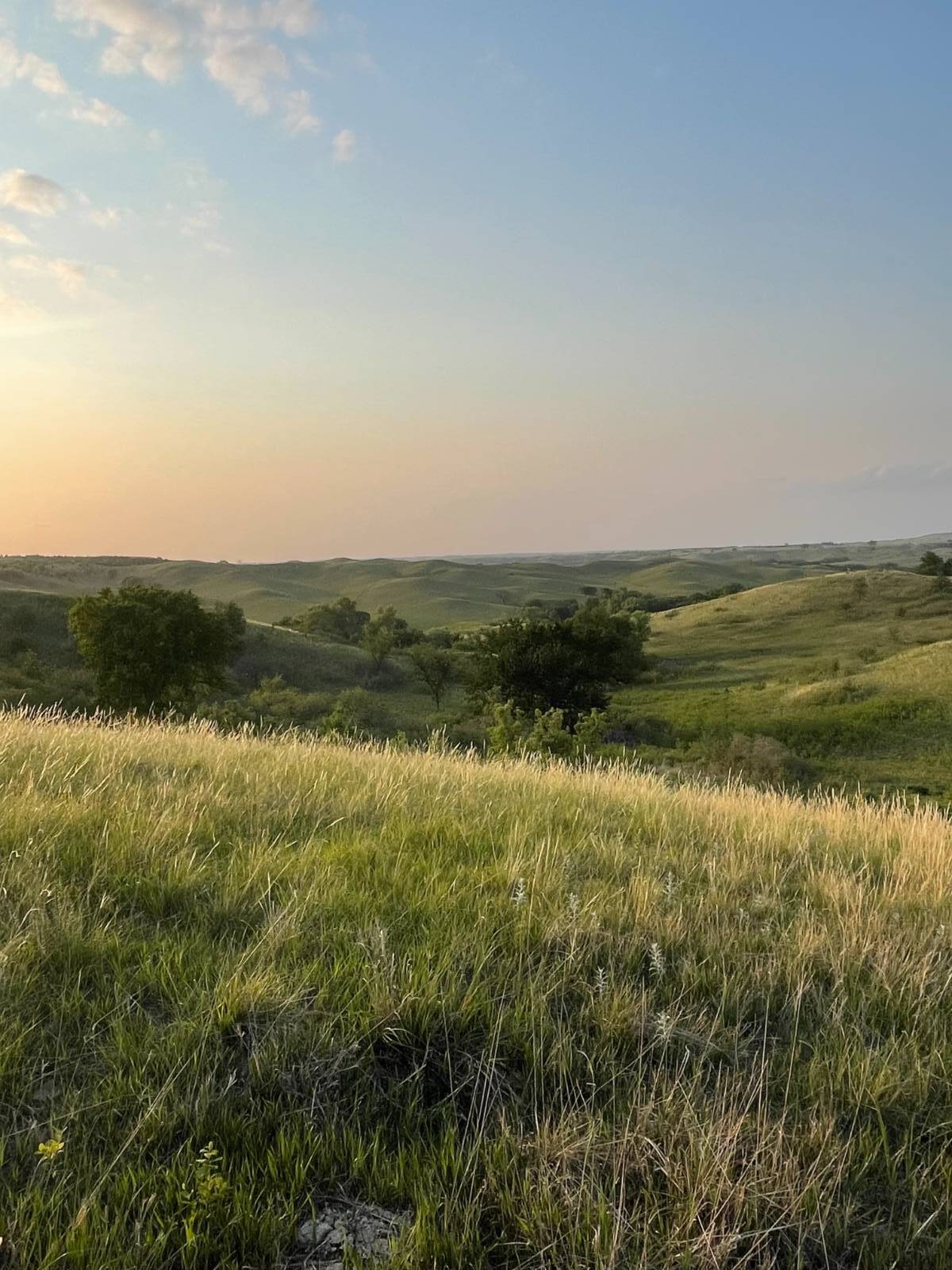 Photo 14 of 39 of home listing at Rural 531 Ave and 889 Road, Niobrara, NE 68760