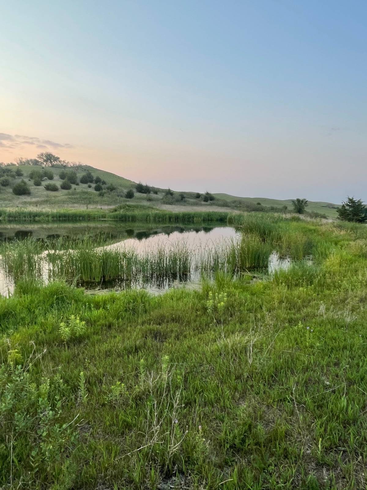Photo 31 of 39 of home listing at Rural 531 Ave and 889 Road, Niobrara, NE 68760
