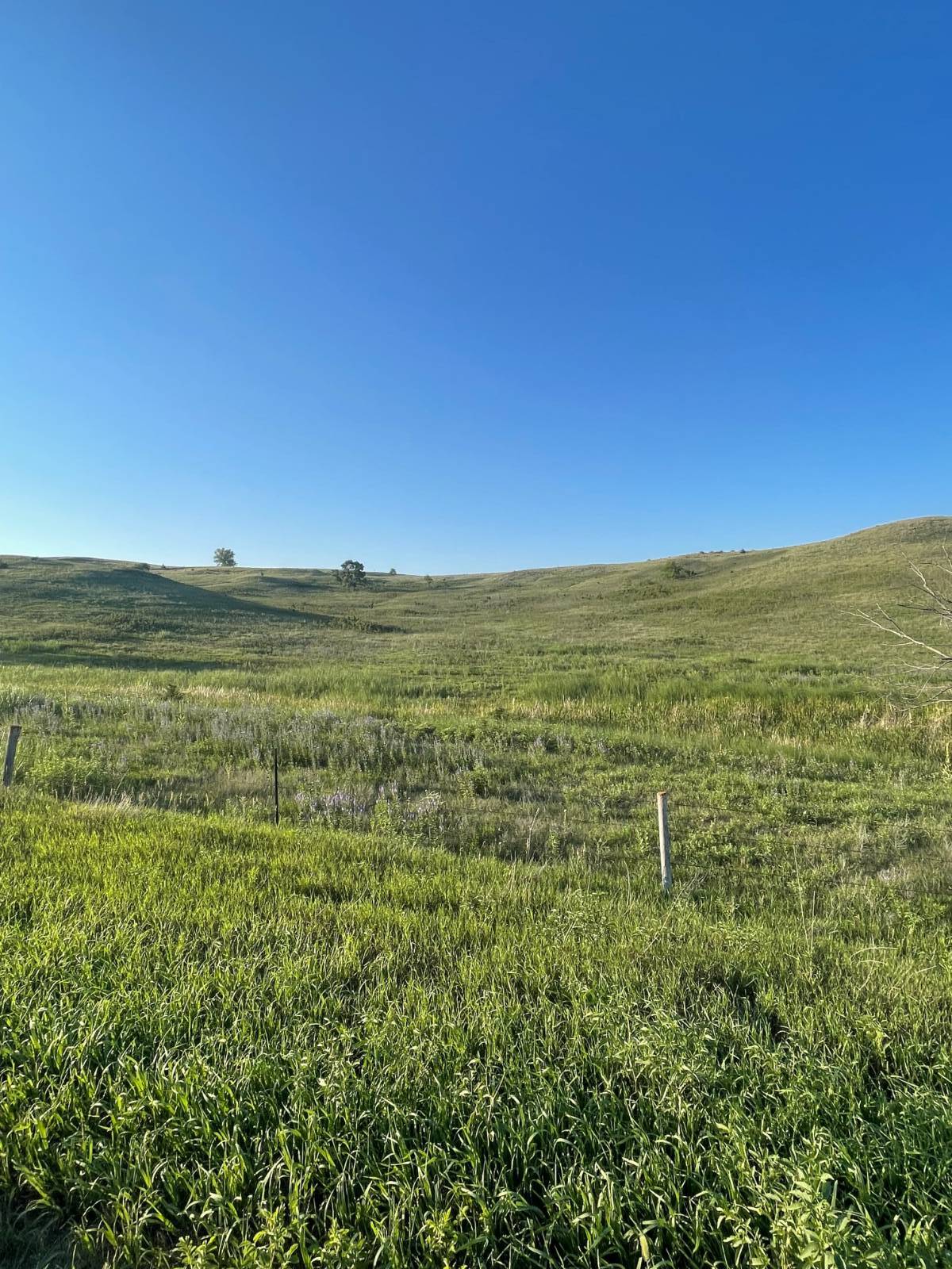 Photo 37 of 39 of home listing at Rural 531 Ave and 889 Road, Niobrara, NE 68760