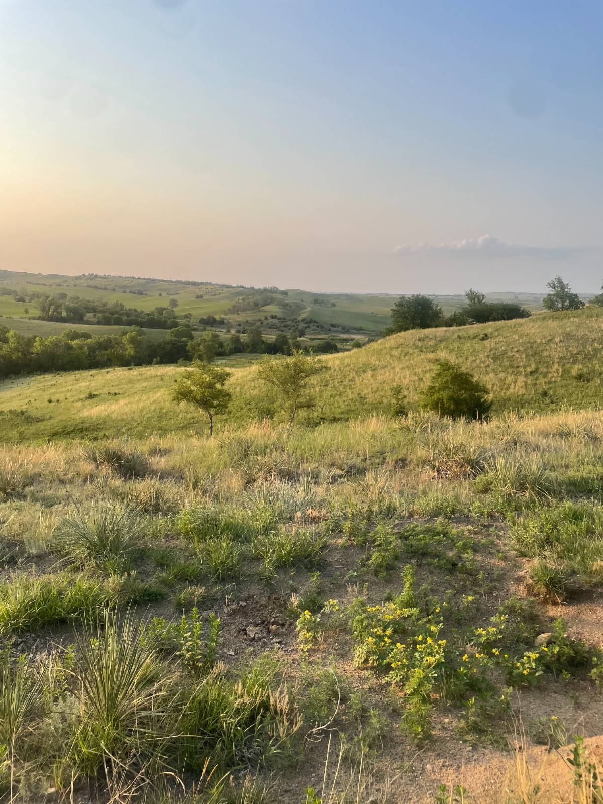 Photo 1 of 39 of home listing at Rural 531 Ave and 889 Road, Niobrara, NE 68760