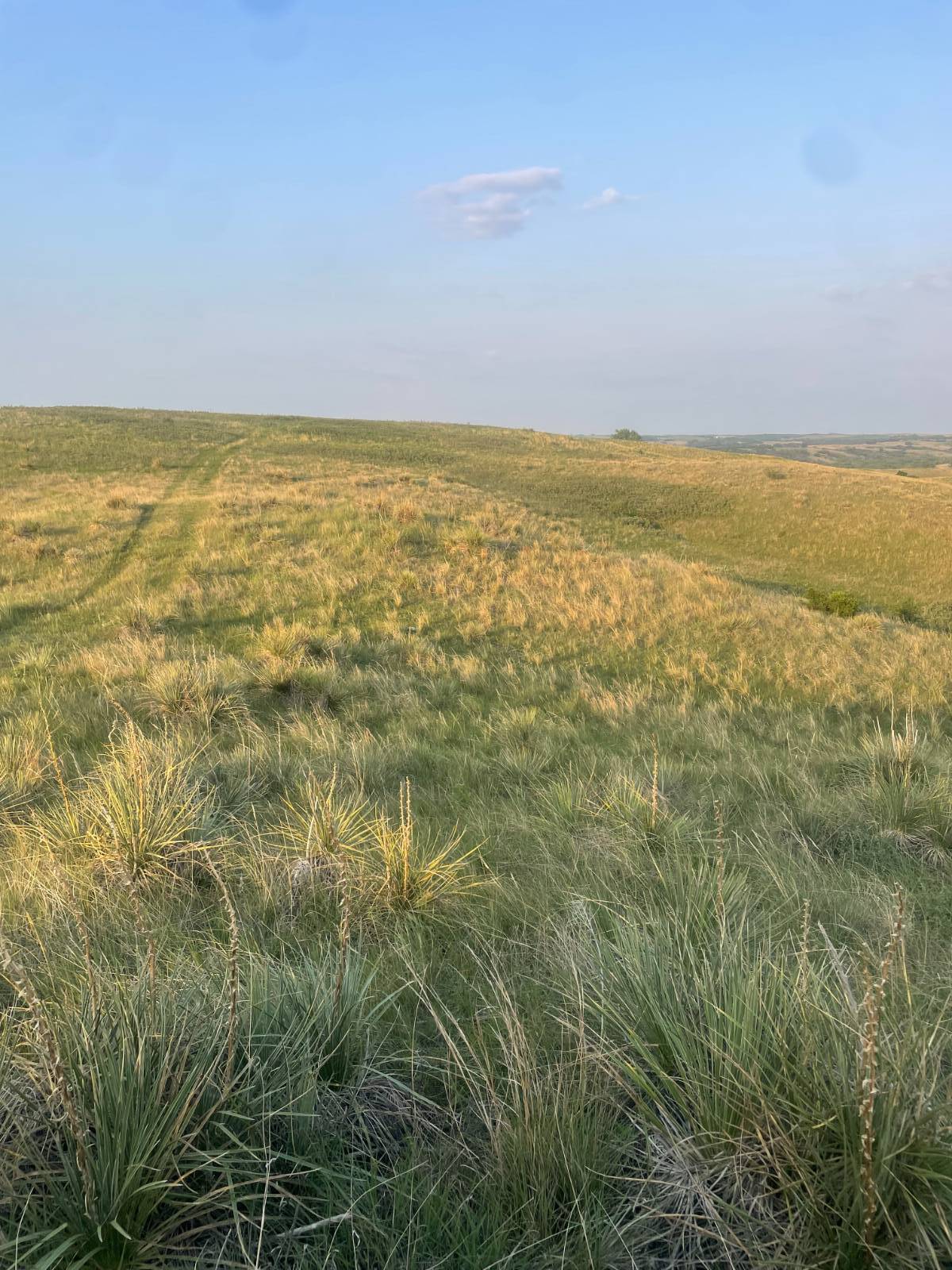 Photo 5 of 39 of home listing at Rural 531 Ave and 889 Road, Niobrara, NE 68760