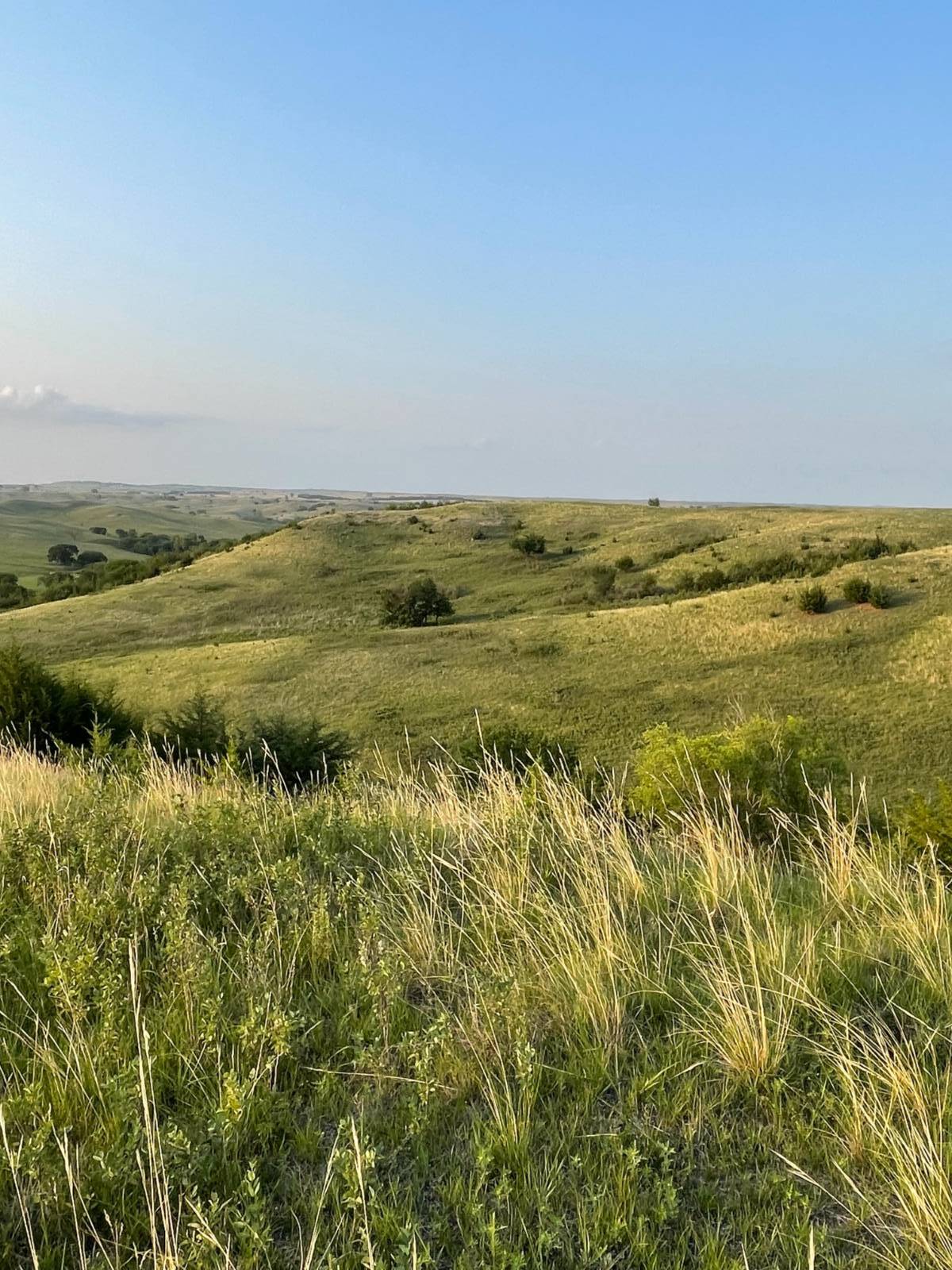 Photo 7 of 39 of home listing at Rural 531 Ave and 889 Road, Niobrara, NE 68760