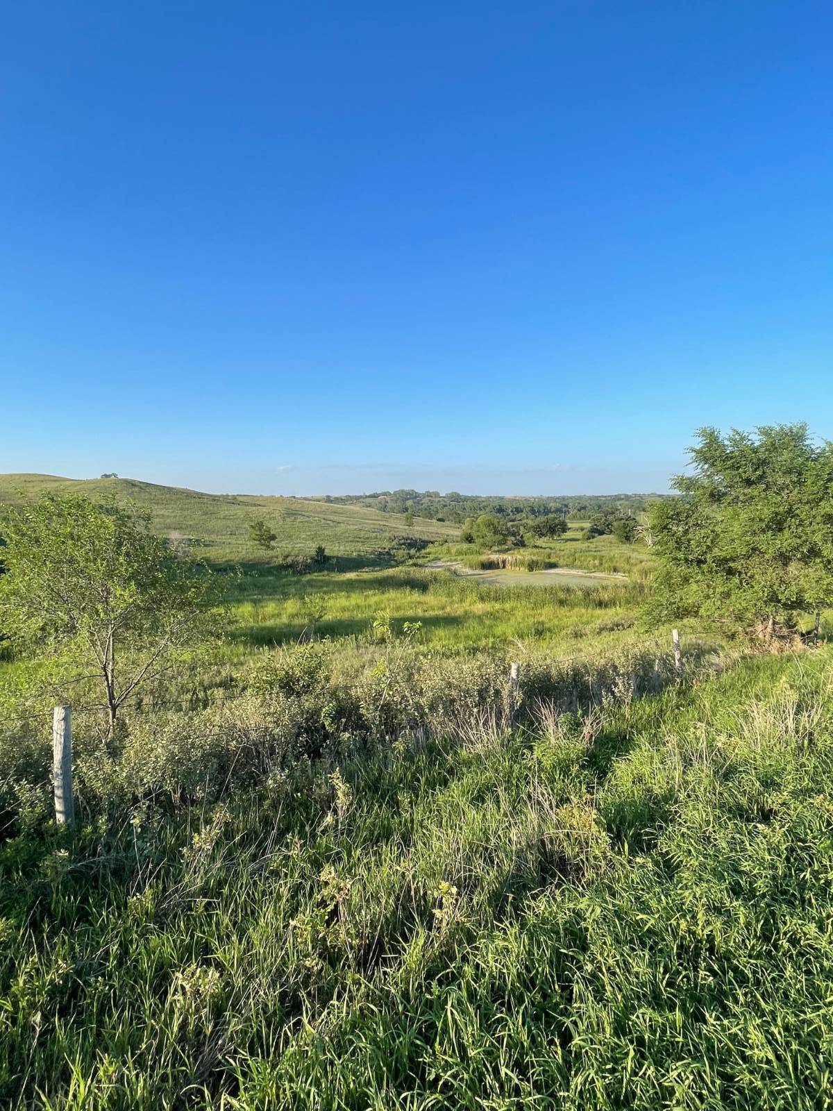 Photo 36 of 39 of home listing at Rural 531 Ave and 889 Road, Niobrara, NE 68760