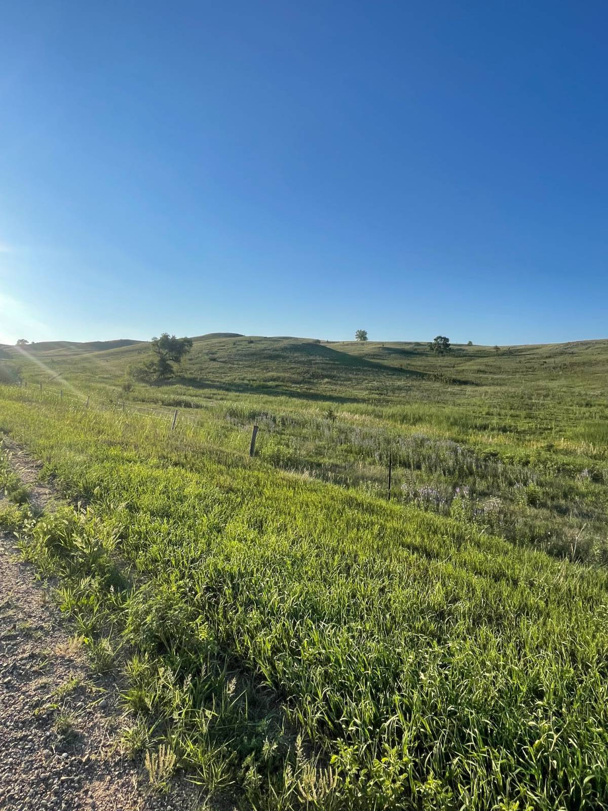 Photo 38 of 39 of home listing at Rural 531 Ave and 889 Road, Niobrara, NE 68760