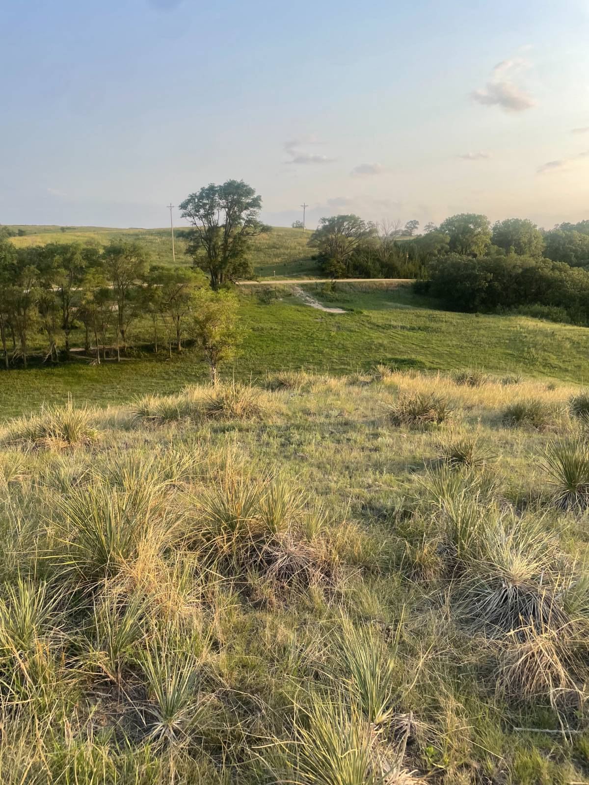 Photo 2 of 39 of home listing at Rural 531 Ave and 889 Road, Niobrara, NE 68760