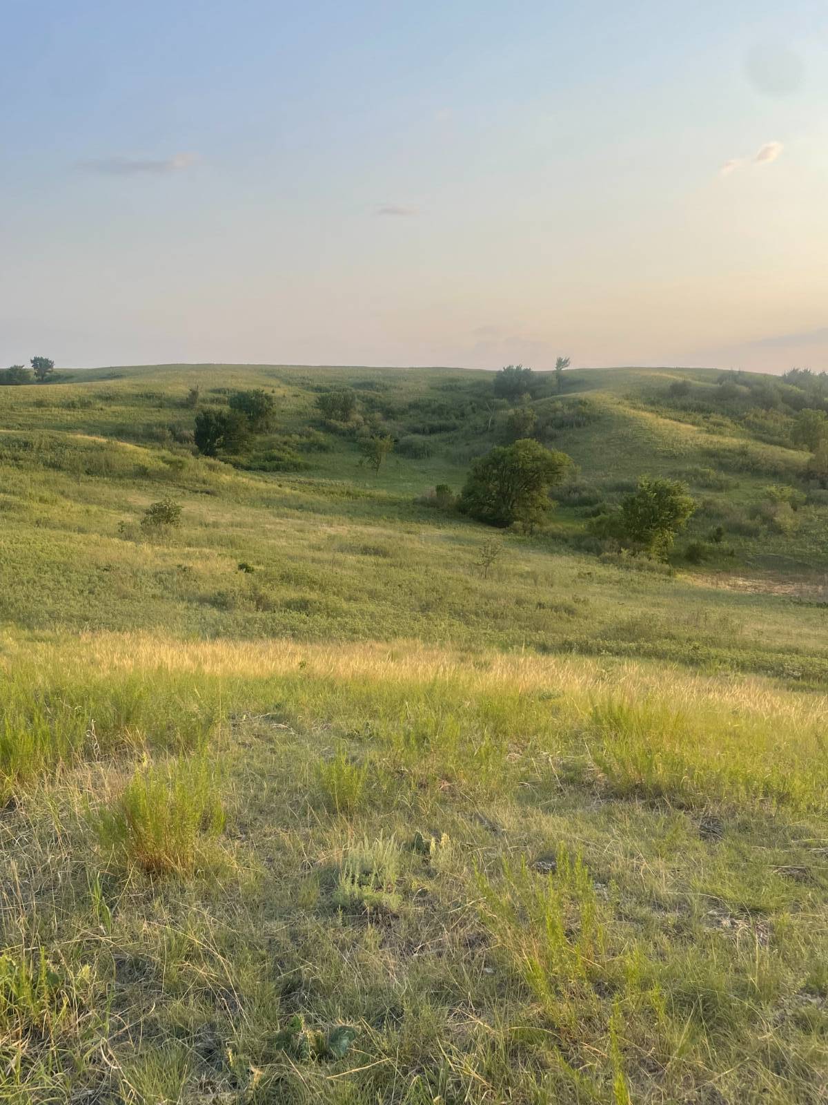 Photo 18 of 39 of home listing at Rural 531 Ave and 889 Road, Niobrara, NE 68760