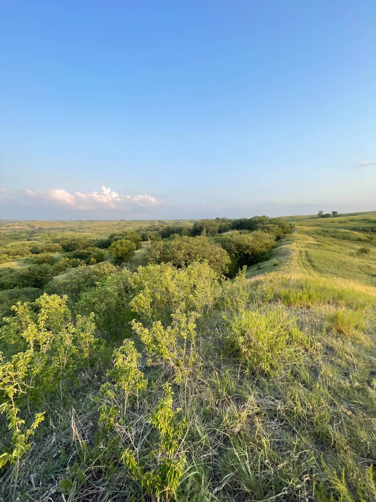 Photo 15 of 39 of home listing at Rural 531 Ave and 889 Road, Niobrara, NE 68760