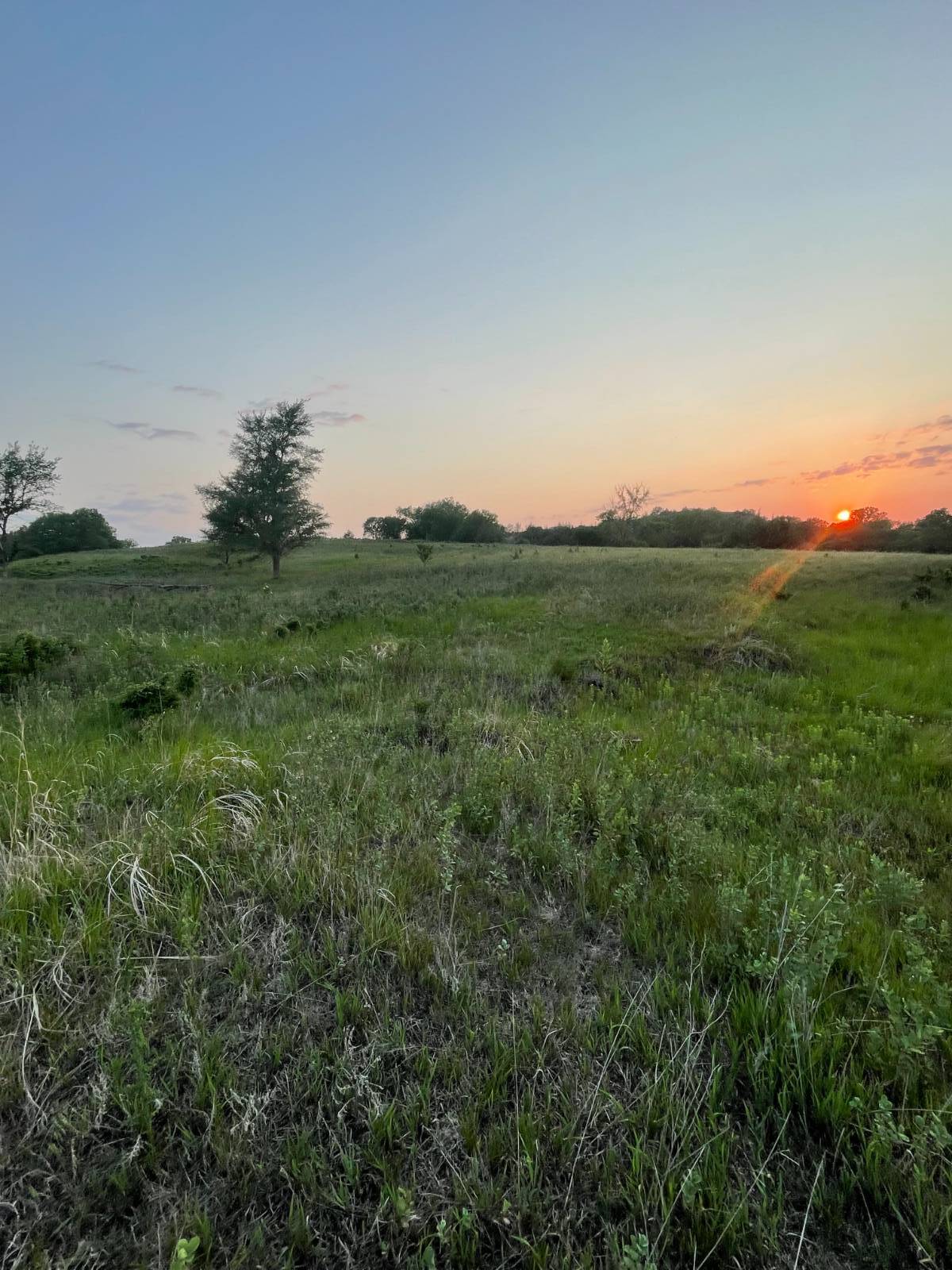 Photo 30 of 39 of home listing at Rural 531 Ave and 889 Road, Niobrara, NE 68760