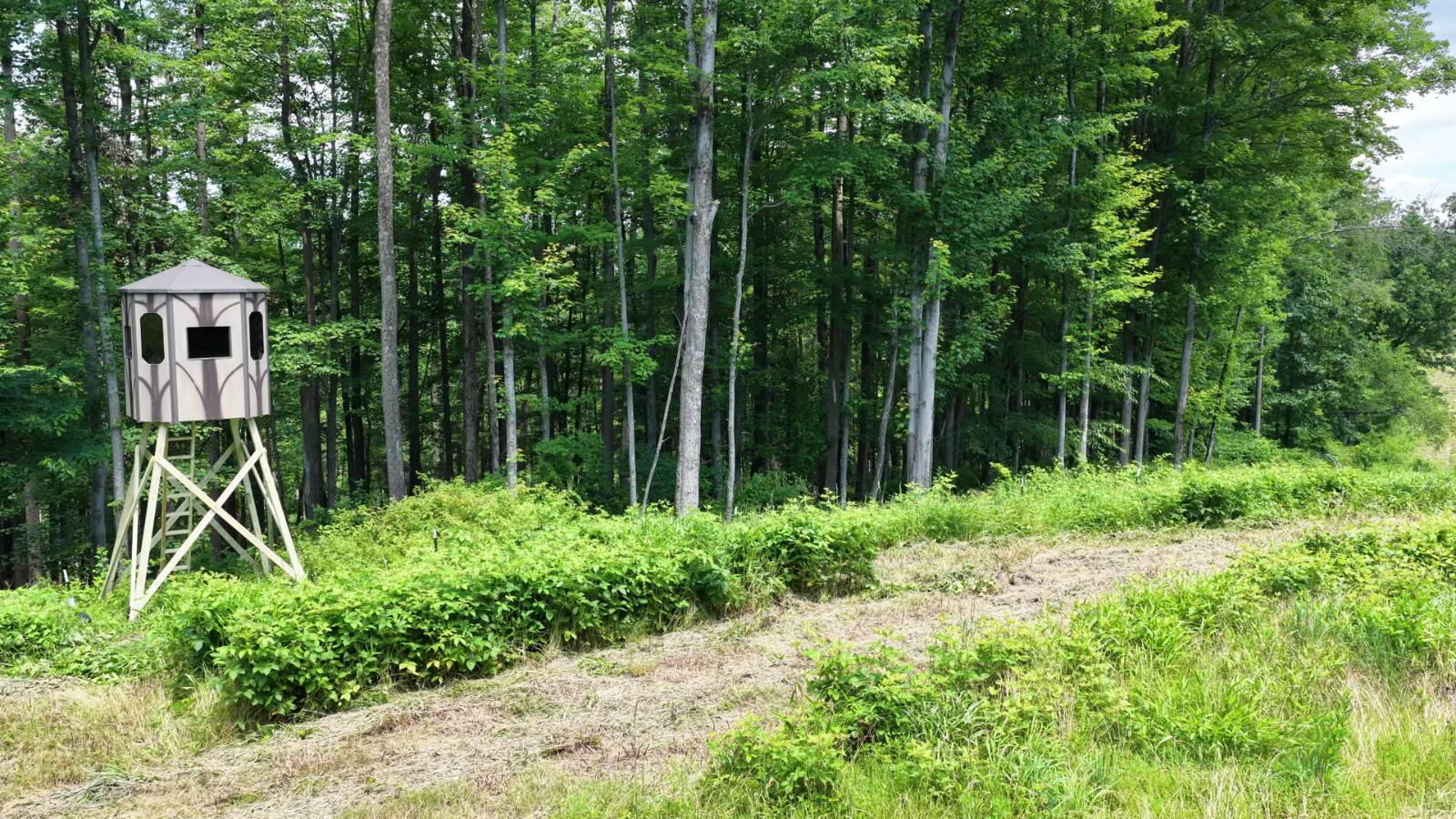 27-Acre Hunting Land for Sale, Guernsey County, OH, photo 3 of 26