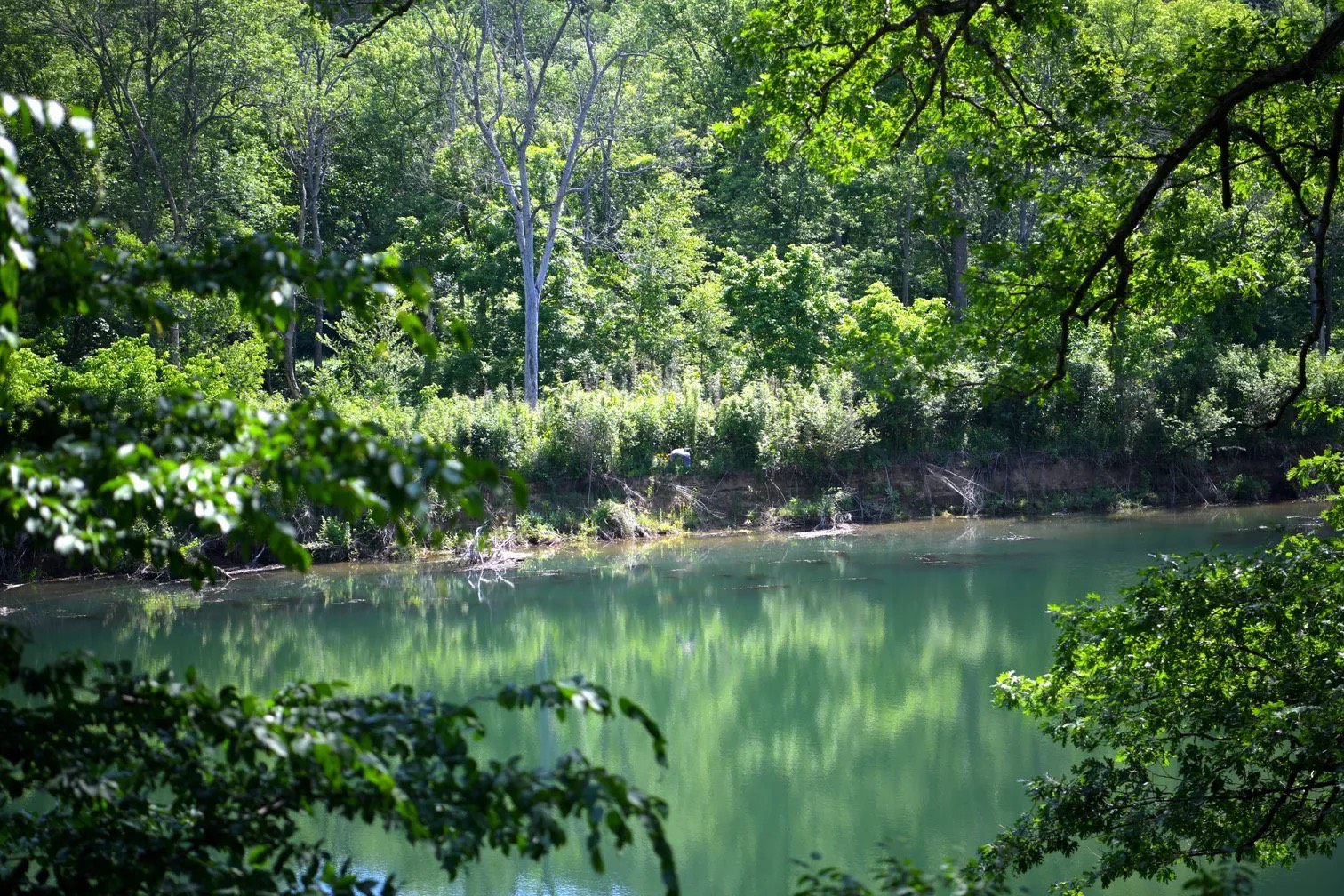Photo 5 of 60 of farm or ranch property for sale at 263 CR 212, Eureka Springs, AR 72631