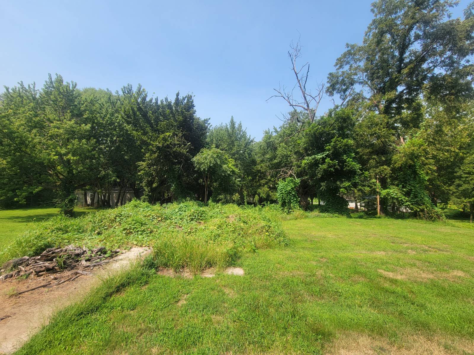 Photo 3 of 4 of land listing at 920 7th Street, Peru, NE 68421