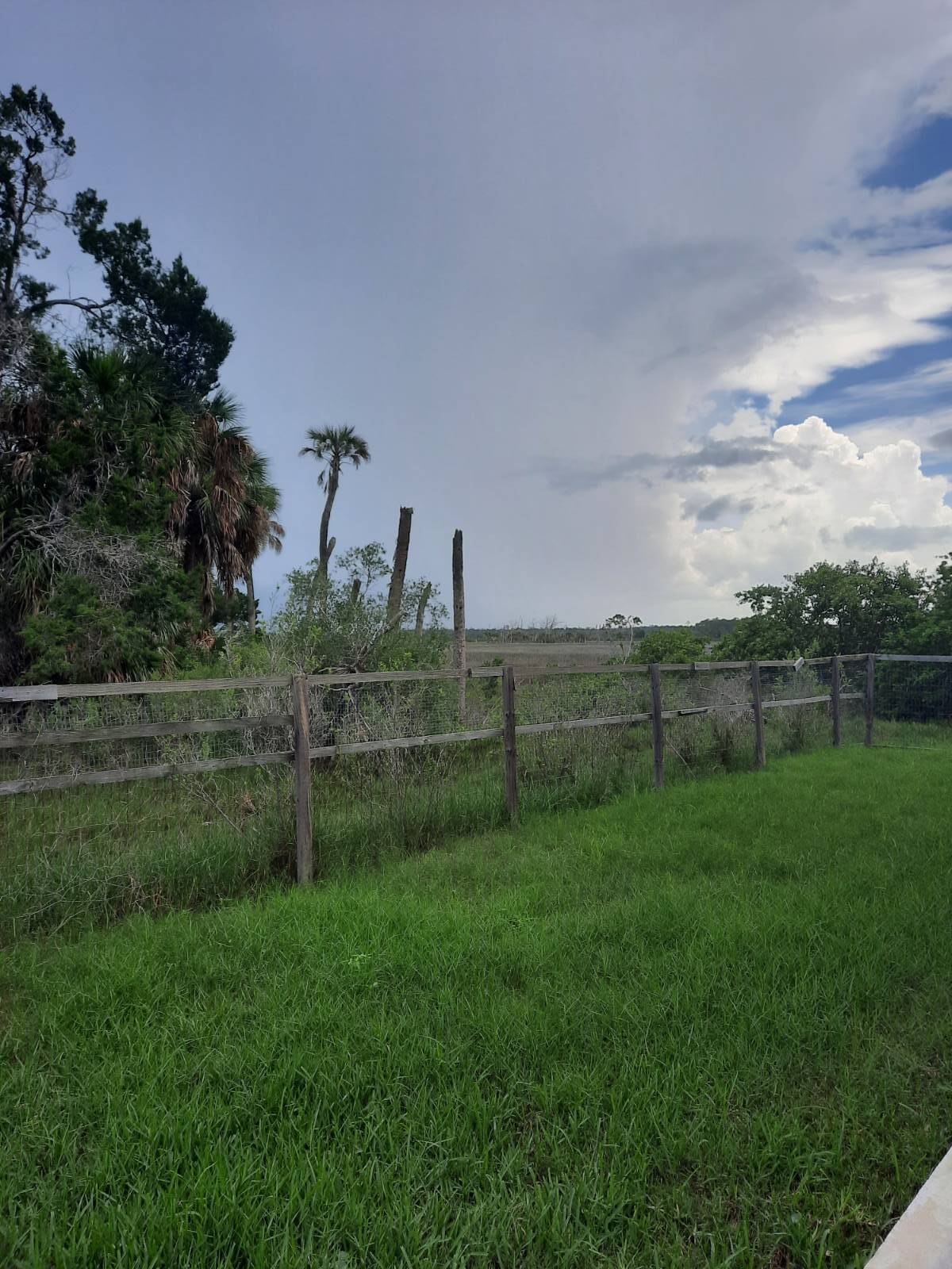 3605 eagle nest dr, hernando beach, FL 34607