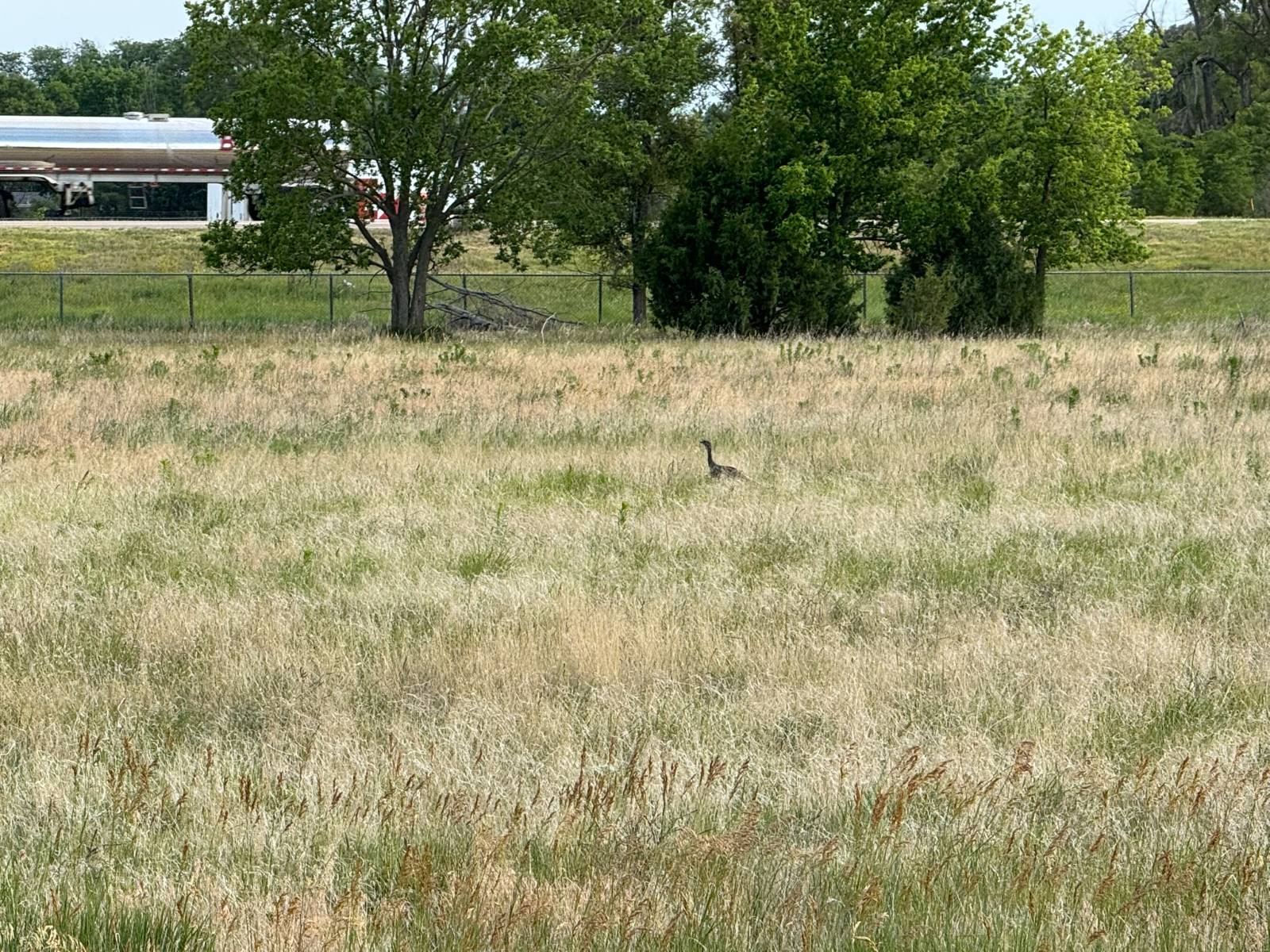 Photo 5 of 20 of land listing at TBD S River Rd, North Platte, NE 69101
