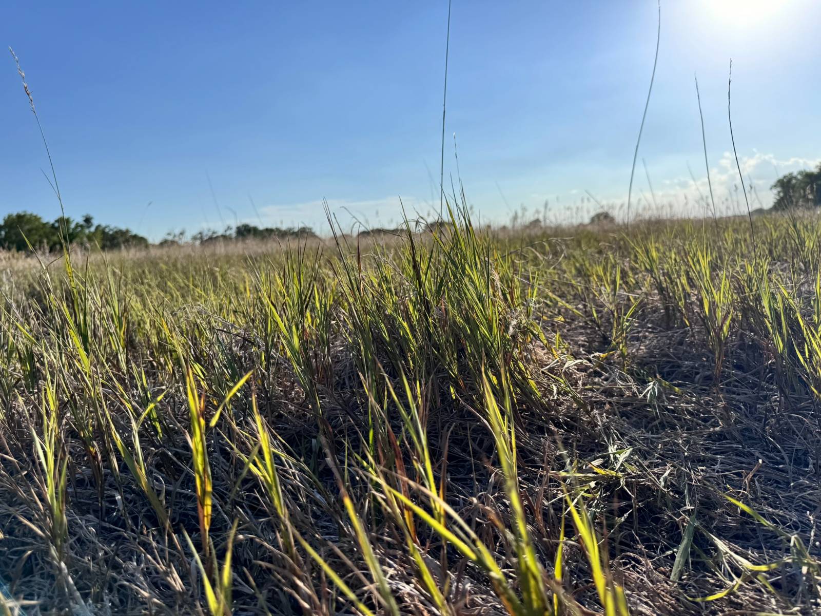Photo 6 of 20 of land listing at TBD S River Rd, North Platte, NE 69101