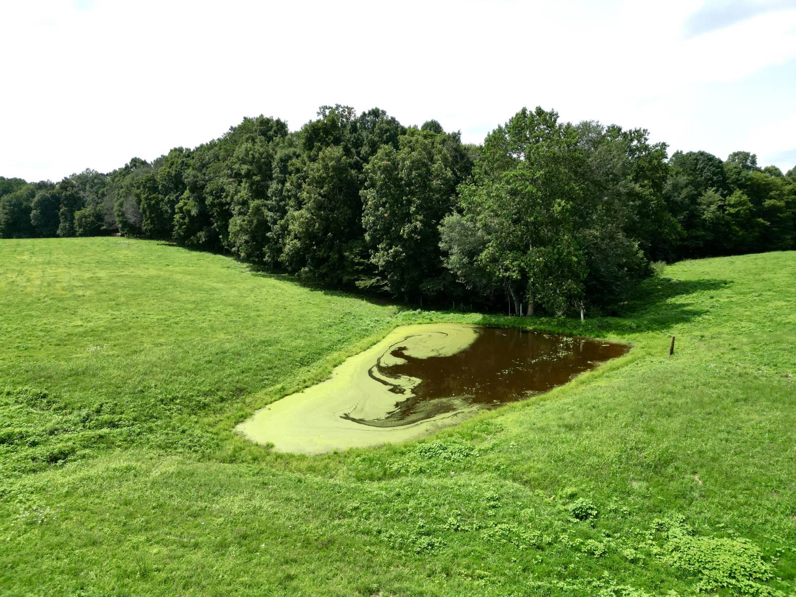 750 Maynard Lane #Tract 6, Russell Springs