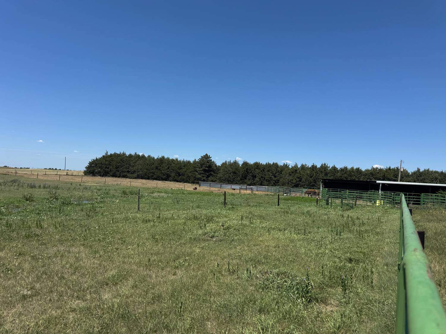 Photo 5 of 11 of commercial property listing at 43675 Ryno Road, Broken Bow, NE 68822