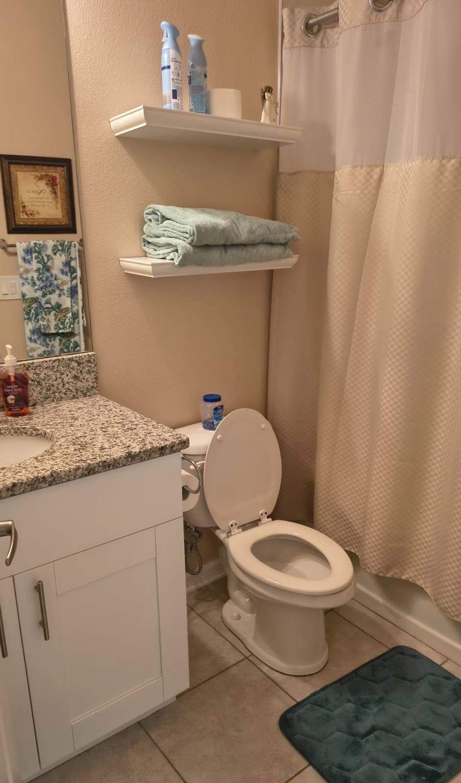 11300 Mollymawk Ct, New Port Richey, FL 34654