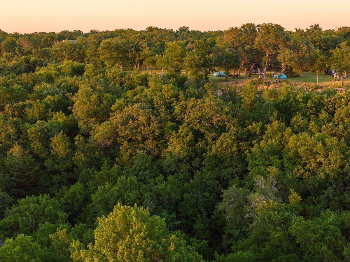 1,303-Acre Hunting Land for Sale, Cooke County, TX, photo 3 of 35