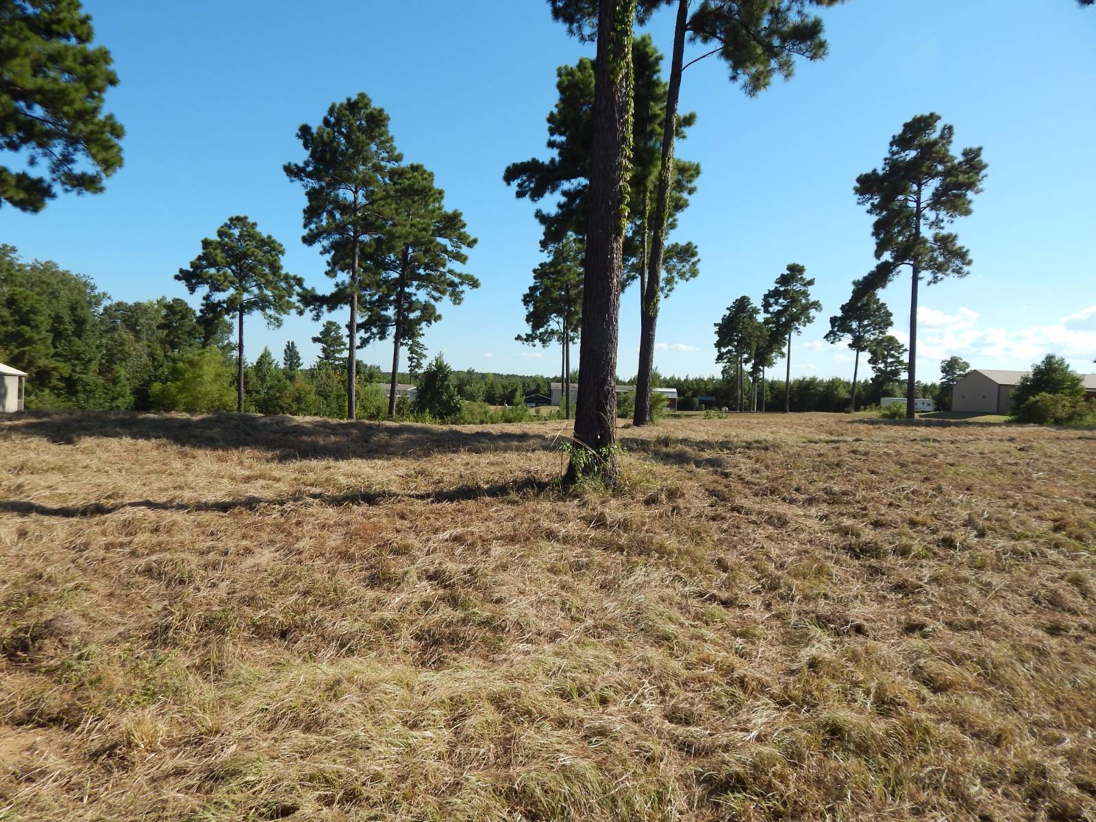 Photo 3 of 4 of land for sale at 000 Joy Ave. #20, Many, LA 71449