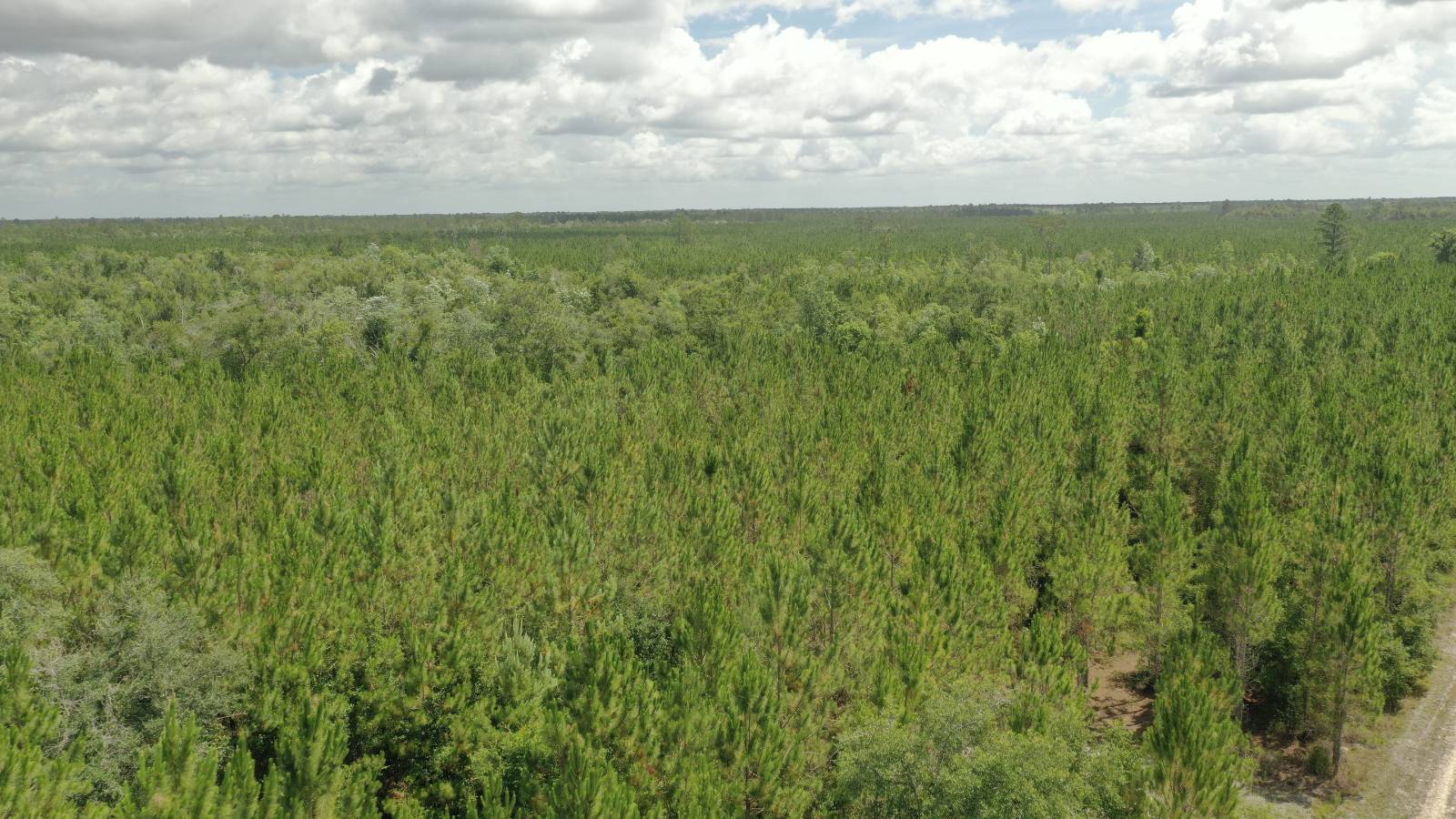 0 US HWY 441 N, LAKE CITY, FL 32055