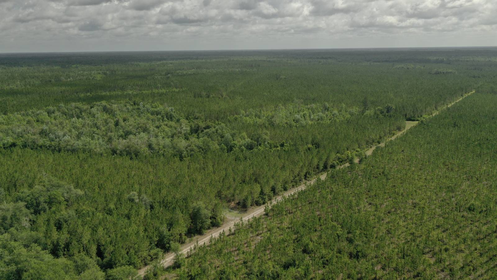 0 US HWY 441 N, LAKE CITY, FL 32055