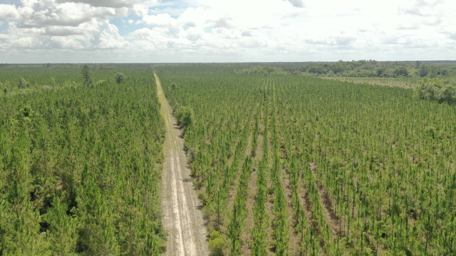 0 US HWY 441 N, LAKE CITY, FL 32055