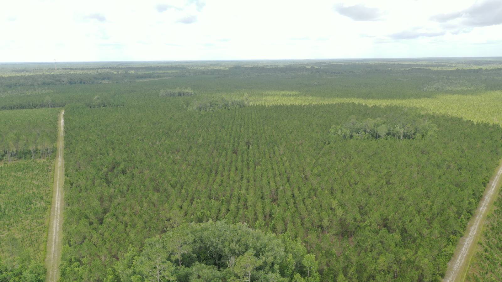 0 US HWY 441 N, LAKE CITY, FL 32055