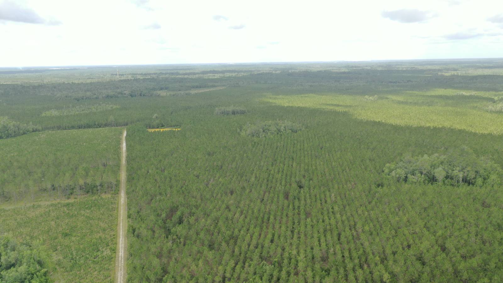 0 US HWY 441 N, LAKE CITY, FL 32055