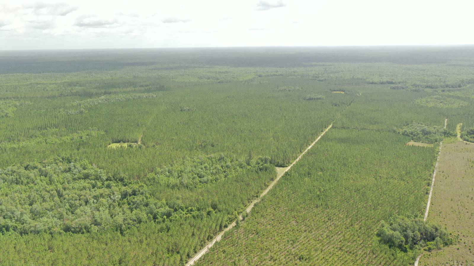 0 US HWY 441 N, LAKE CITY, FL 32055