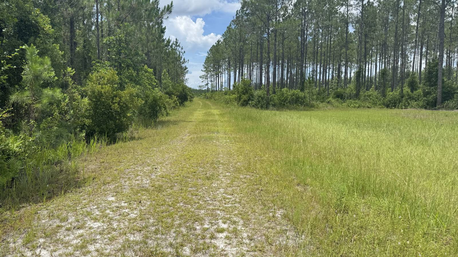 0 US HWY 441 N, LAKE CITY, FL 32055