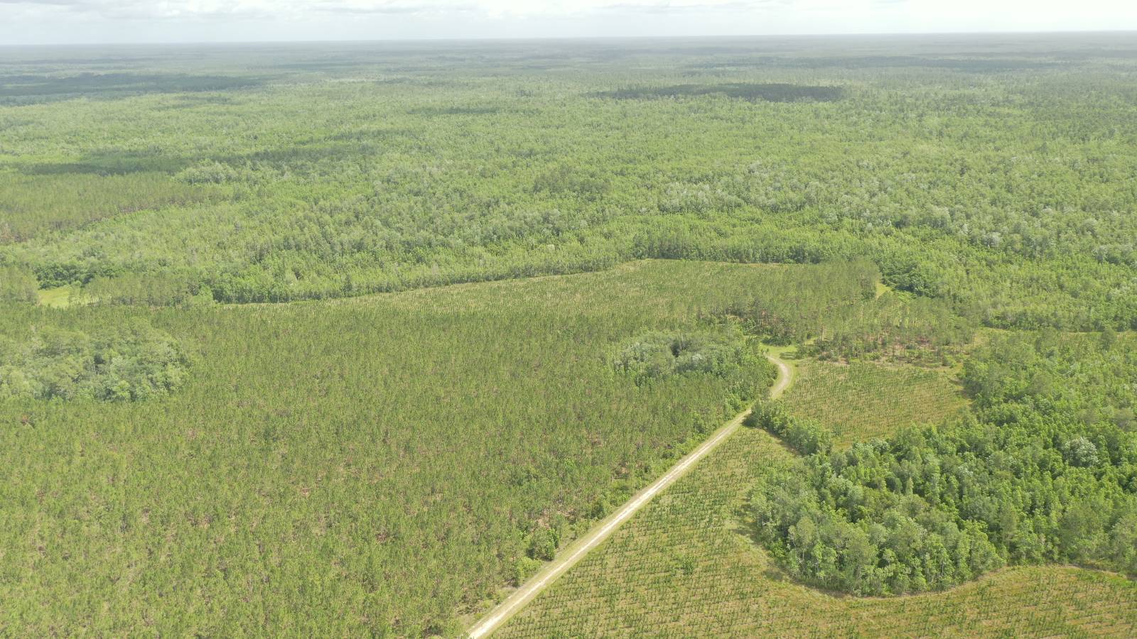 0 US HWY 441 N, LAKE CITY, FL 32055