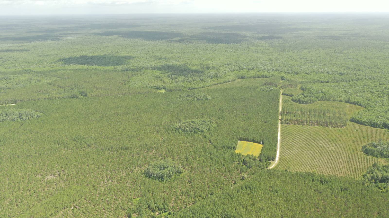 0 US HWY 441 N, LAKE CITY, FL 32055