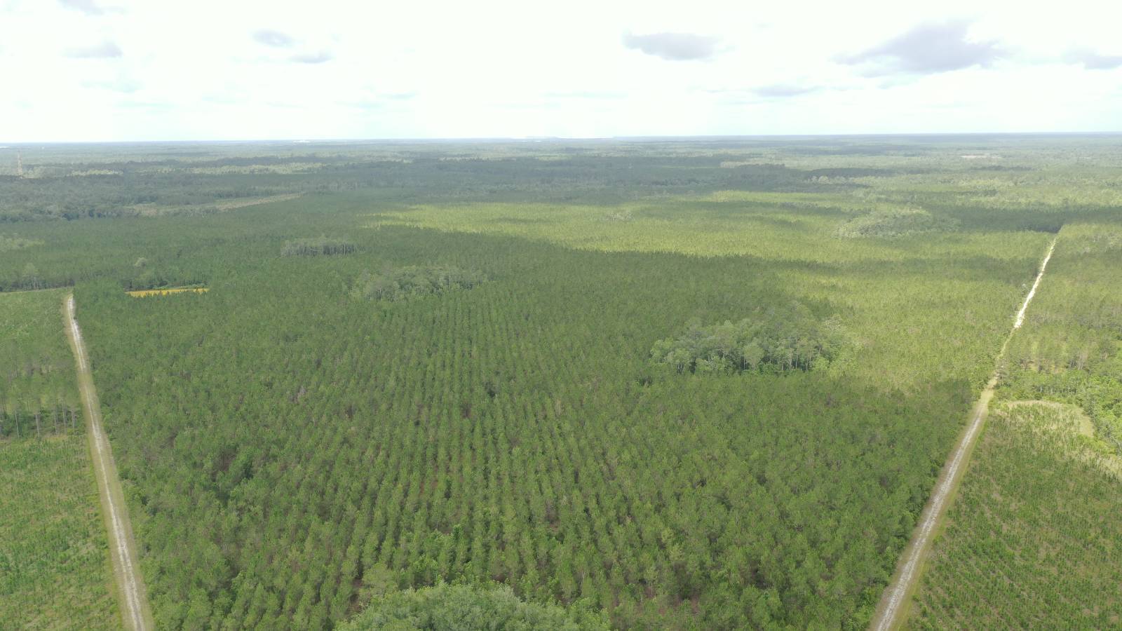 0 US HWY 441 N, LAKE CITY, FL 32055