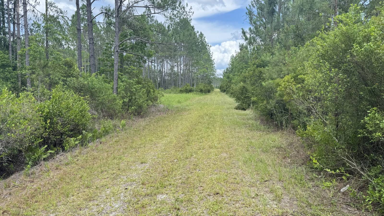 0 US HWY 441 N, LAKE CITY, FL 32055