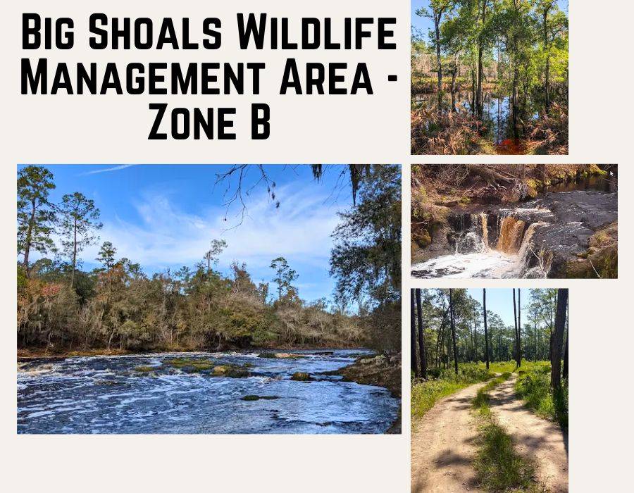 0 US HWY 441 N, LAKE CITY, FL 32055